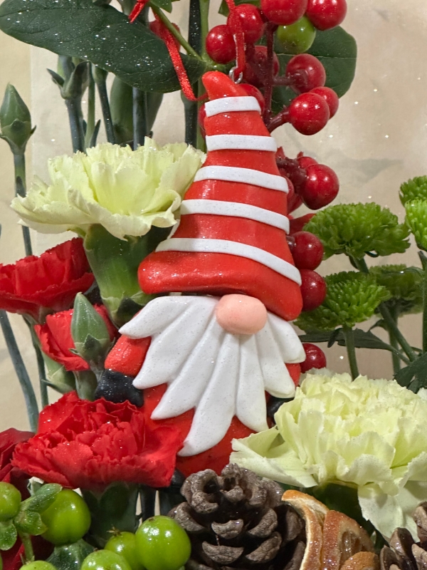 Gnome for Christmas