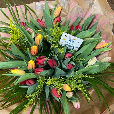 Tiptoe through the Tulips – buy online or call 0121 423 3593